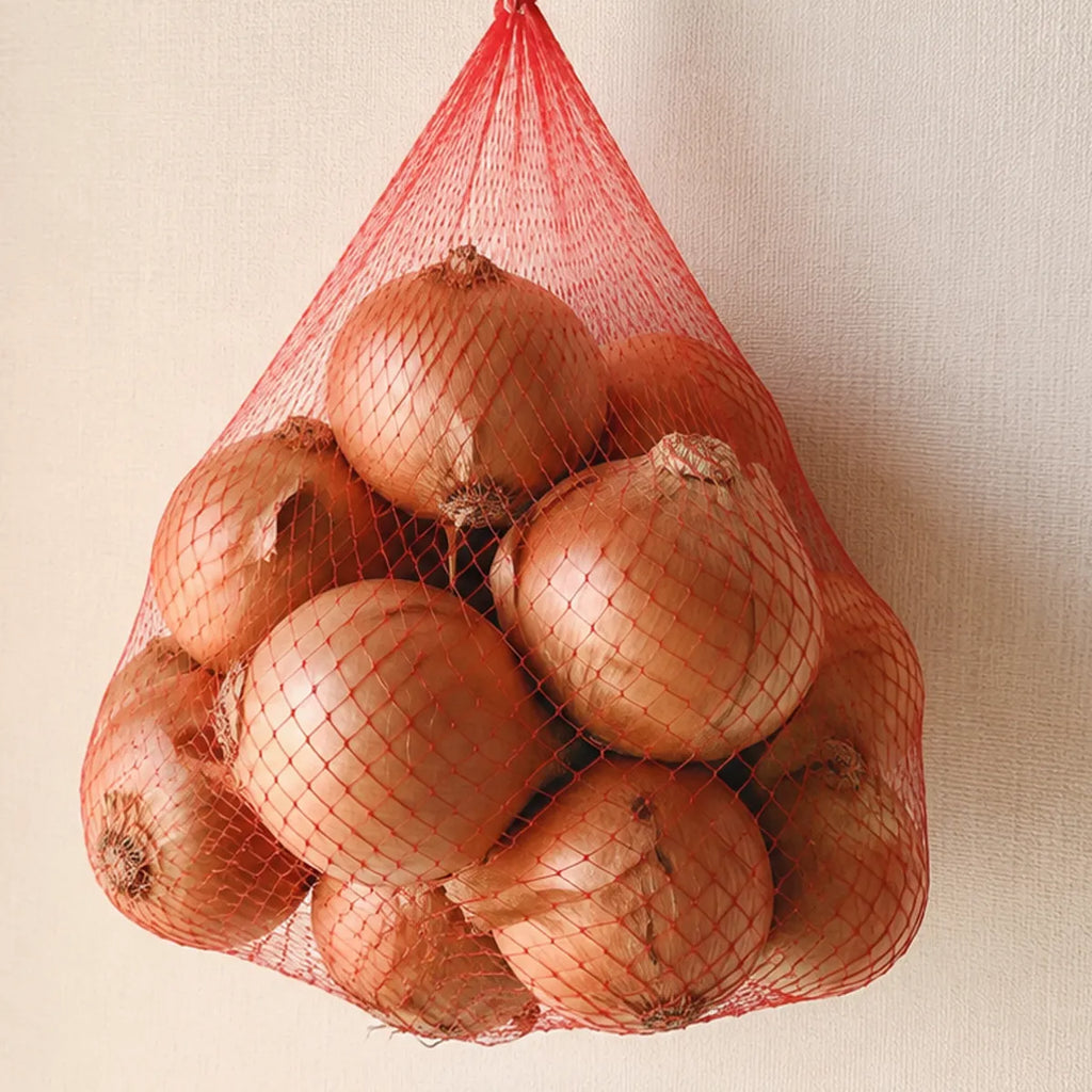 【50箱限定】大地が育てた ごちそう玉ねぎ 約10kg｜愛媛・自然栽培